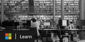 Microsoft Documentation Management